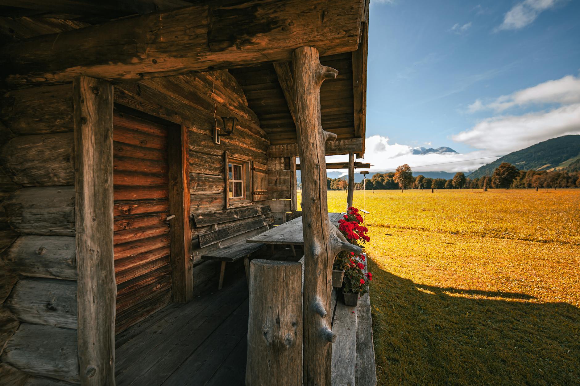 Goldener Herbst am Waldrand