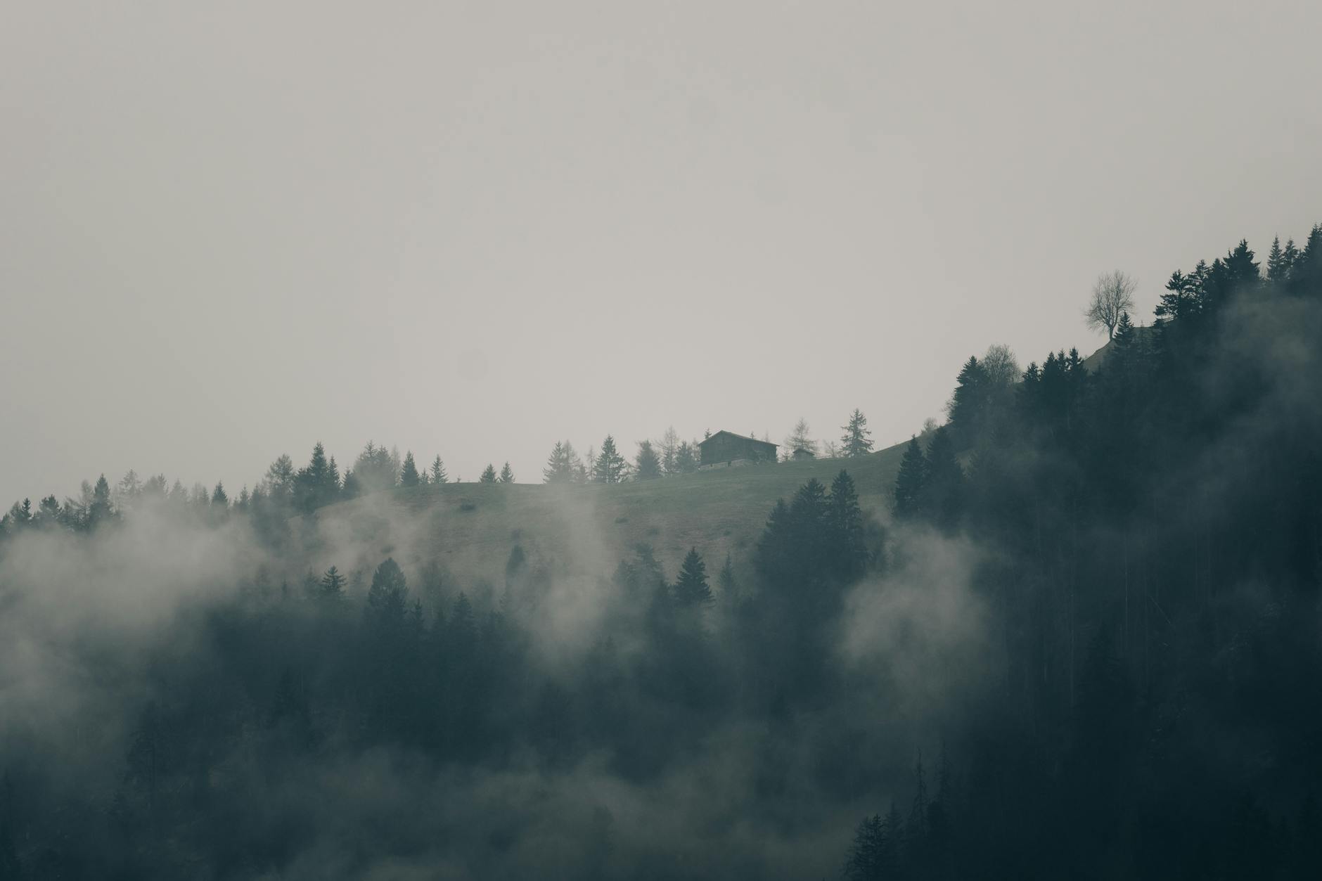 Forsthütte Annenkogel — Willkommen